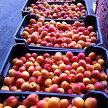 Spacious With Private Pool And Stunning Views Βίλα *