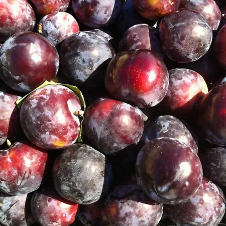 Spacious With Private Pool And Stunning Views * Bompensiere